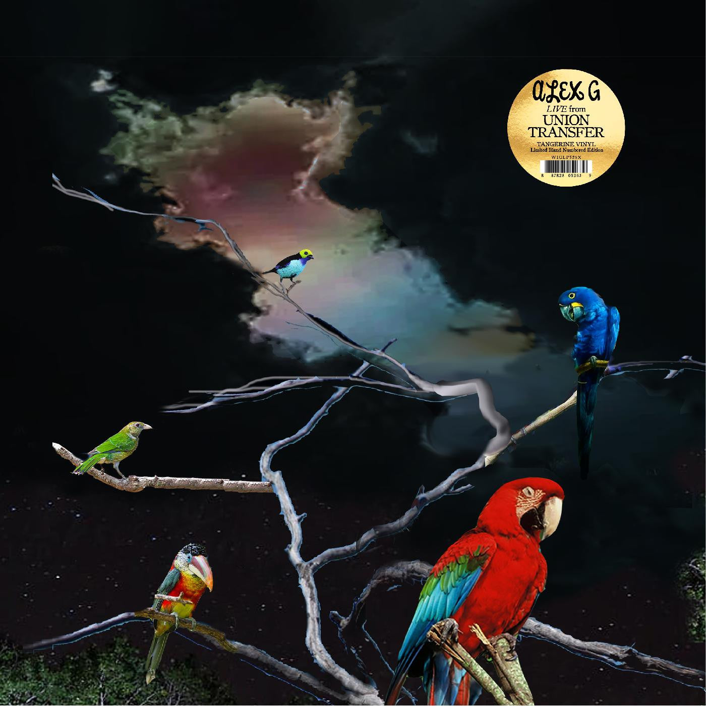 Alex G - Live from Union Transfer LP