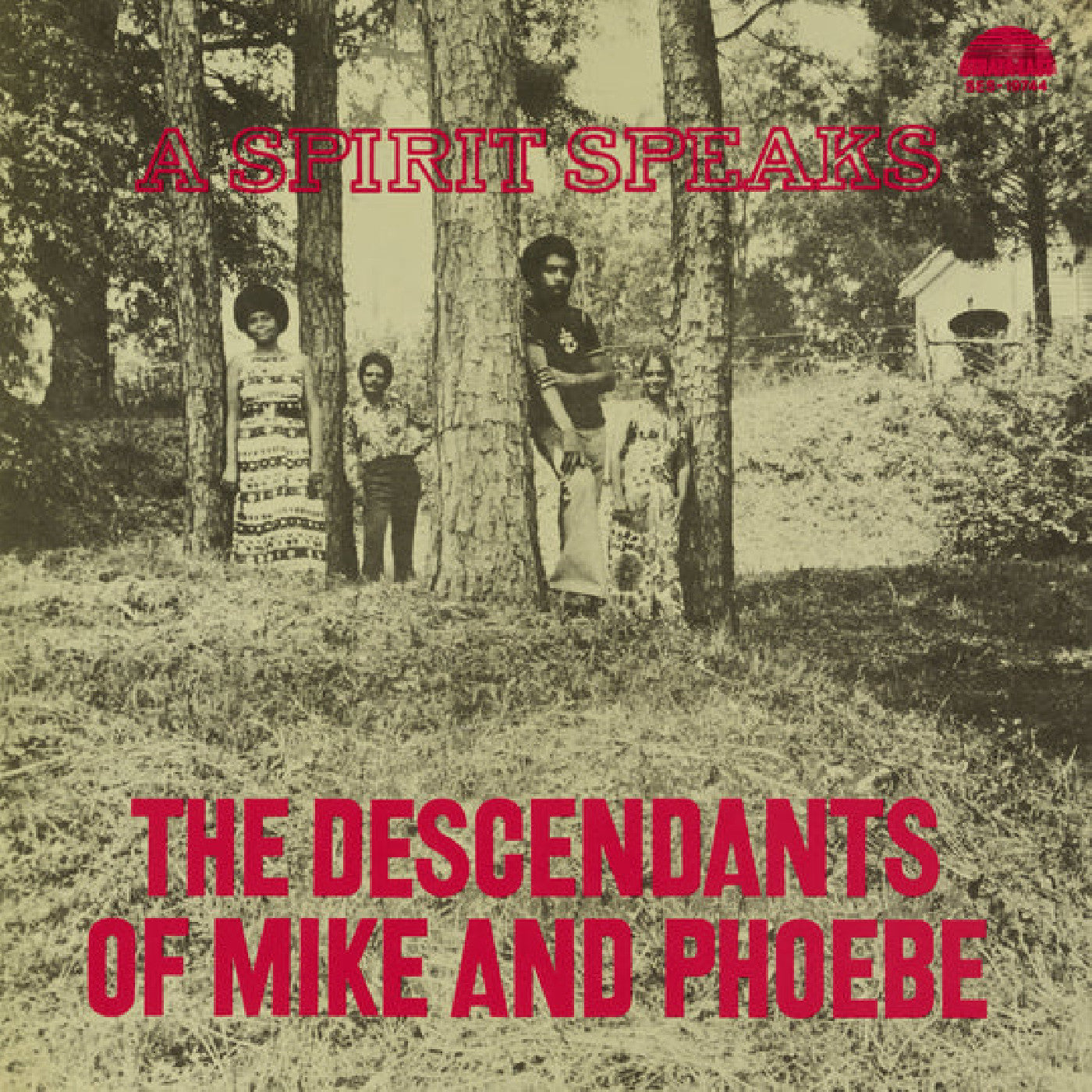 The Descendants Of Mike And Phoebe - A Spirit Speaks LP