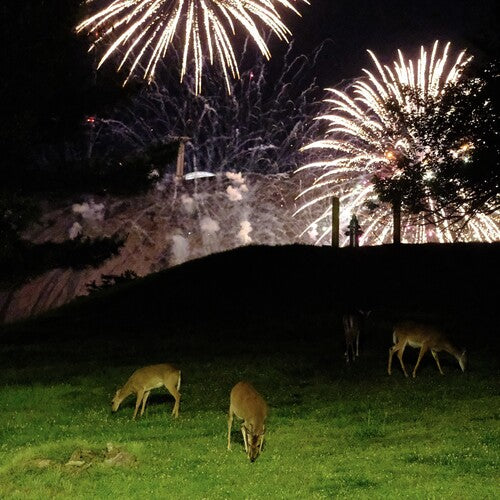 Home Is Where - Hunting Season 2LP