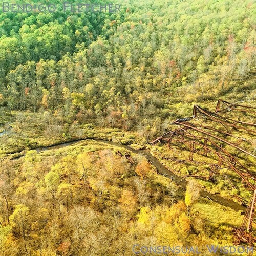 Bendigo Fletcher - Consensual Wisdom LP