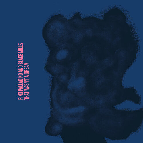 Pino Palladino And Blake Mills - That Wasn't A Dream LP