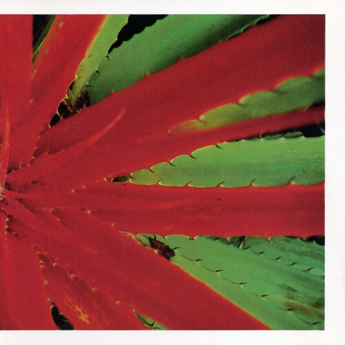 Jejune - This Afternoons Malady 2LP