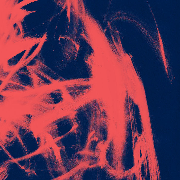 Rival Consoles - Landscape from Memory 2LP