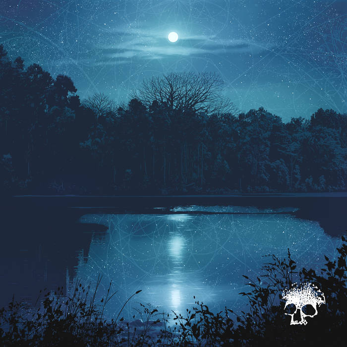 Planes Mistaken for Stars - Do You Still Love Me? LP