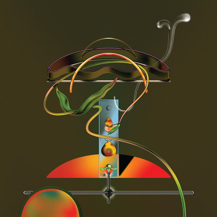 Wand - Spiders in the Rain 2LP