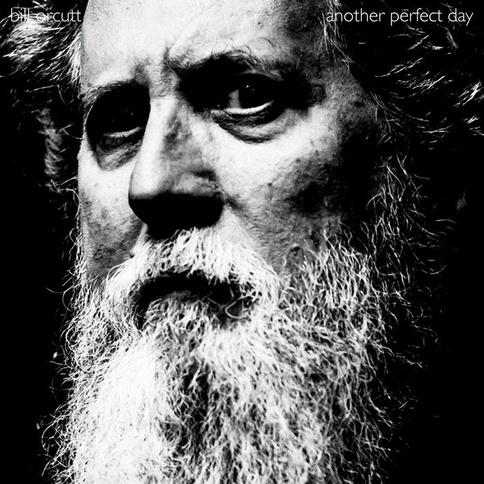 Bill Orcutt - Another Perfect Day LP
