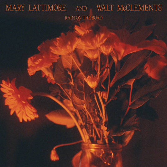 Mary Lattimore & Walt McClements - Rain on the Road LP