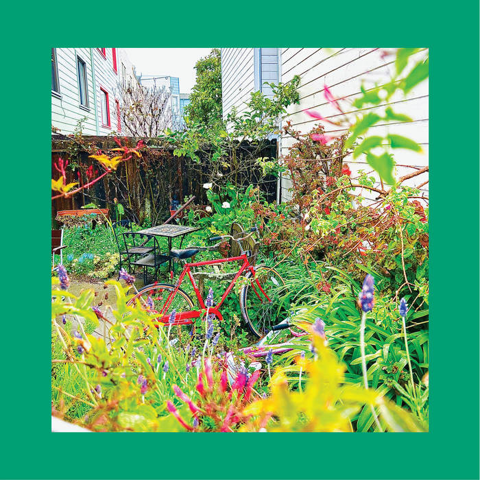 The Reds, Pinks & Purples - Unwishing Well LP