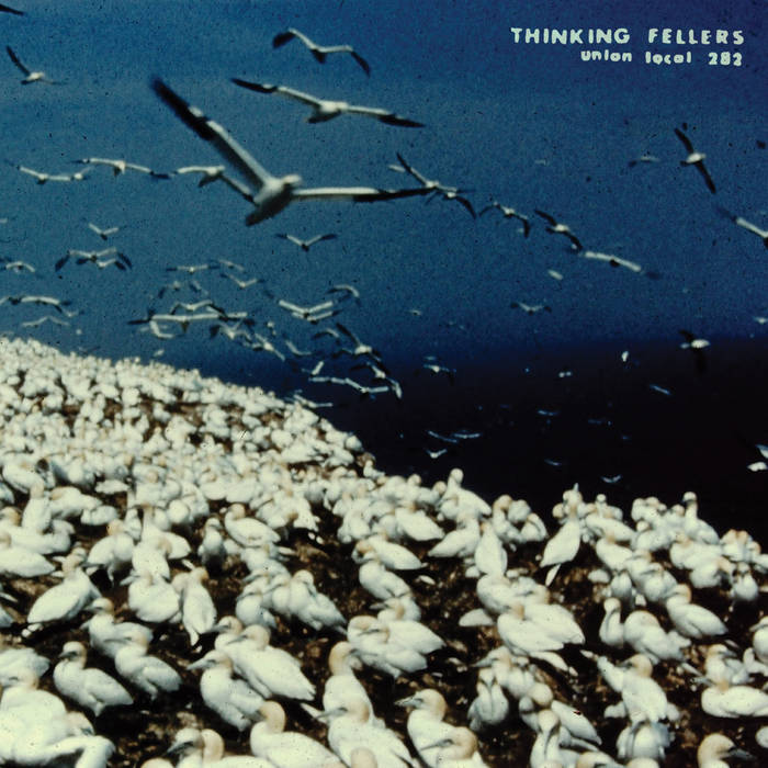 Thinking Fellers Union Local 282 - These Things Remain Unassigned: Comp Tracks, Singles, Rarities, & Unreleased Recordings from the Archives 2LP