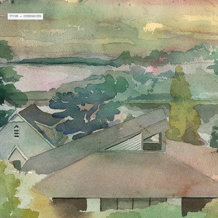 Tyvek - Overground LP