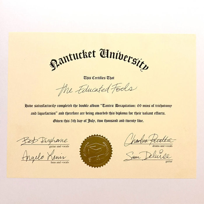 Retail Simps - (As Educated Fools Play) Tantric Decapitation: 69 Minutes of Trichotomy & Liquefaction 2LP