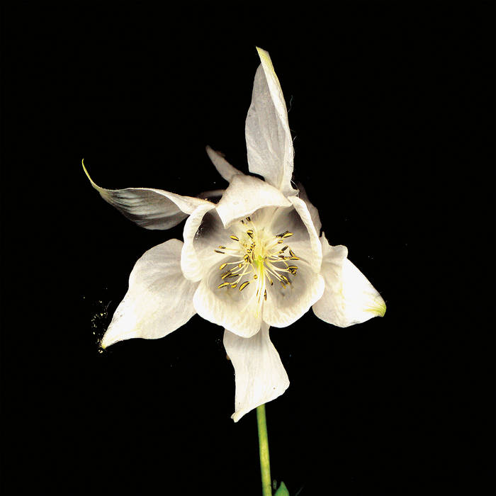 Fridge - Happiness: 20th Anniversary Edition 2LP