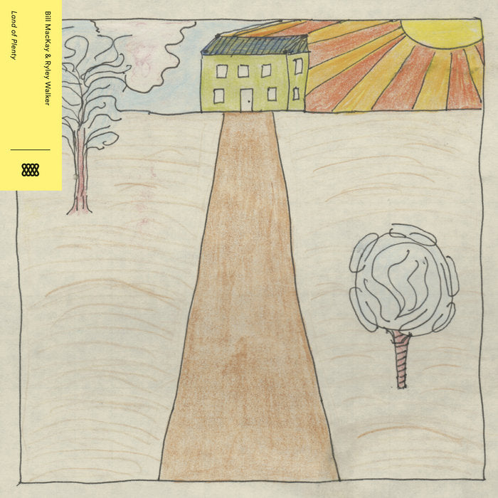 Bill MacKay & Ryley Walker - Land of Plenty LP
