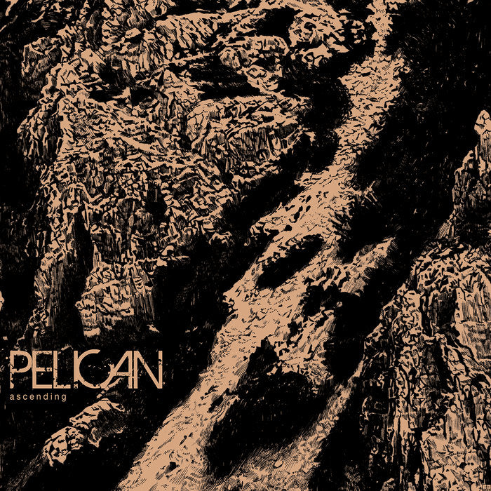Pelican - Ascending 12"
