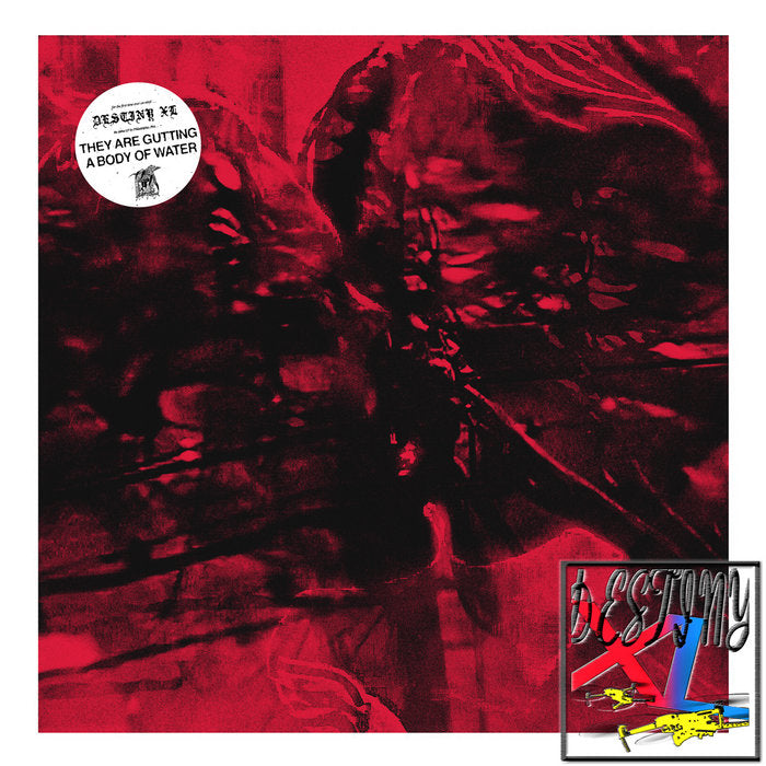 They Are Gutting A Body Of Water - Destiny XL LP