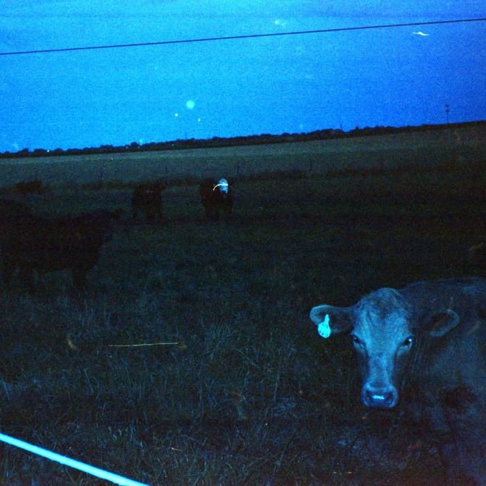 waveform* - Antarctica LP