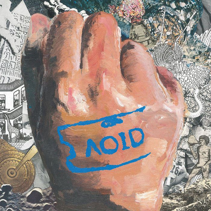 Ratboys - AOID LP