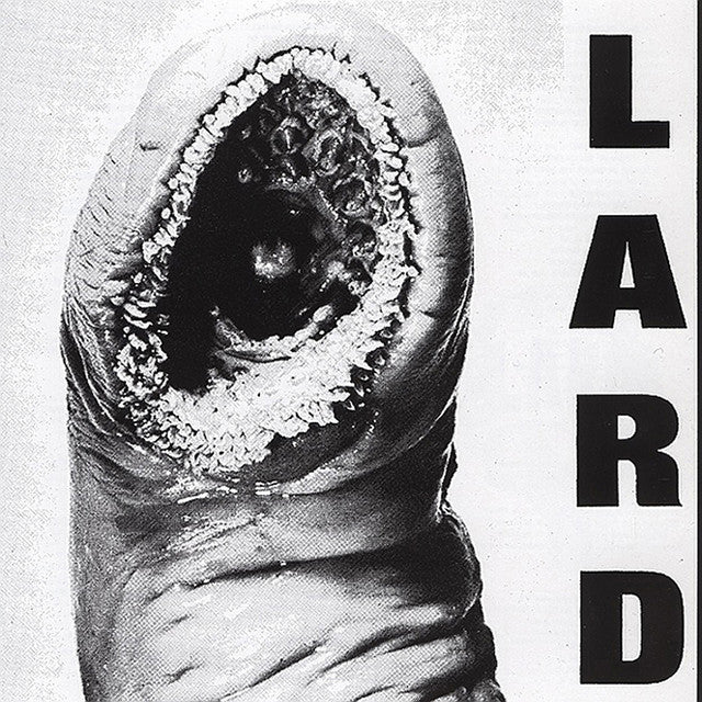 Lard - Power of Lard 12"