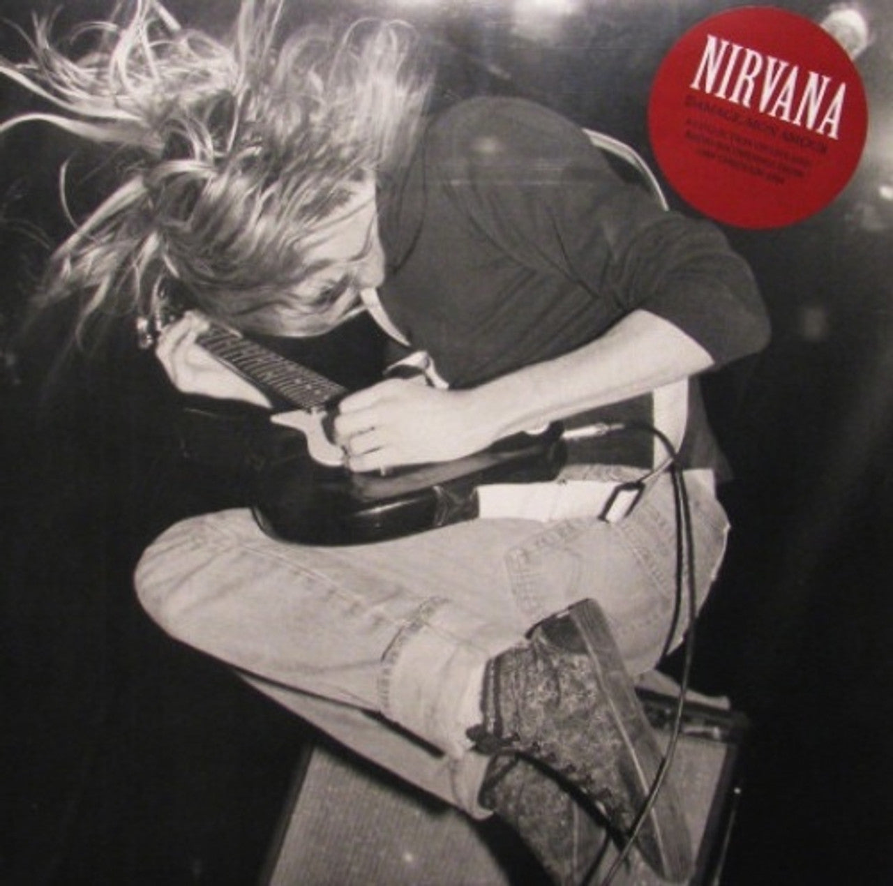 Nirvana - Damage, Mon Amour LP