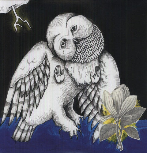 Songs: Ohia - Magnolia Electric Co. 2LP