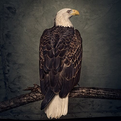 Clutch - Book of Bad Decisions 2LP