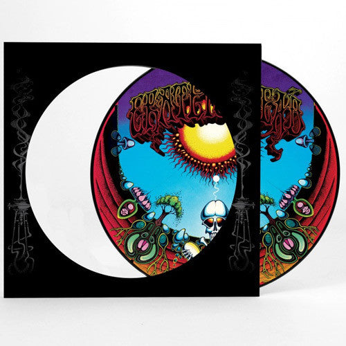 Grateful Dead - Aoxomoxoa LP (Picture Disc)