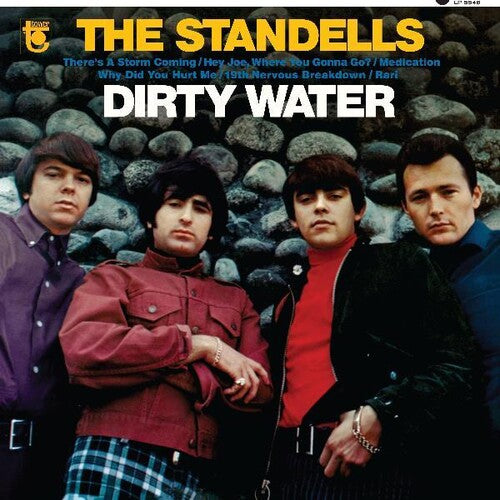 The Standells - Dirty Water LP