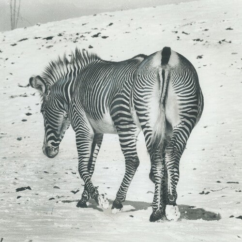 Andy Stott - It Should Be Us 2x12”