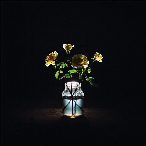 Billy Strings - Renewal 2LP