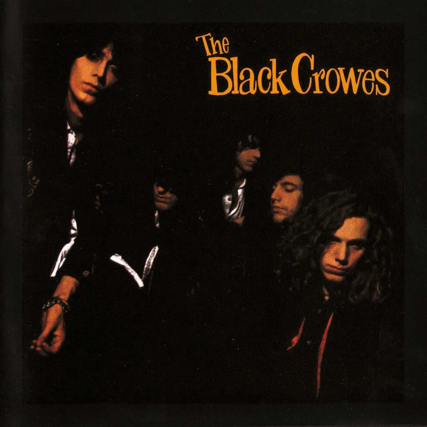 The Black Crowes - Shake Your Money Maker LP