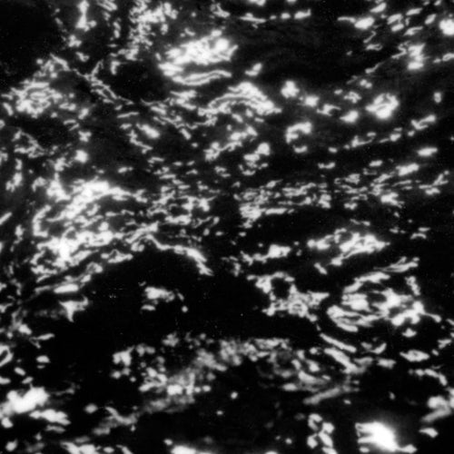 Grouper - AIA: Dream Loss LP