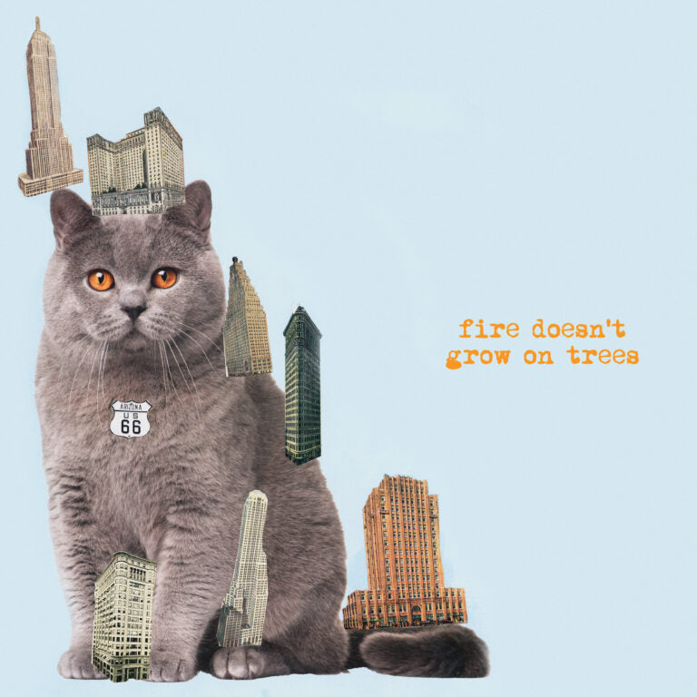 The Brian Jonestown Massacre - Fire Doesn't Grow on Trees LP