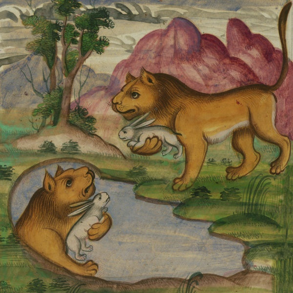 Not Waving & Dark Mark - Downwelling LP