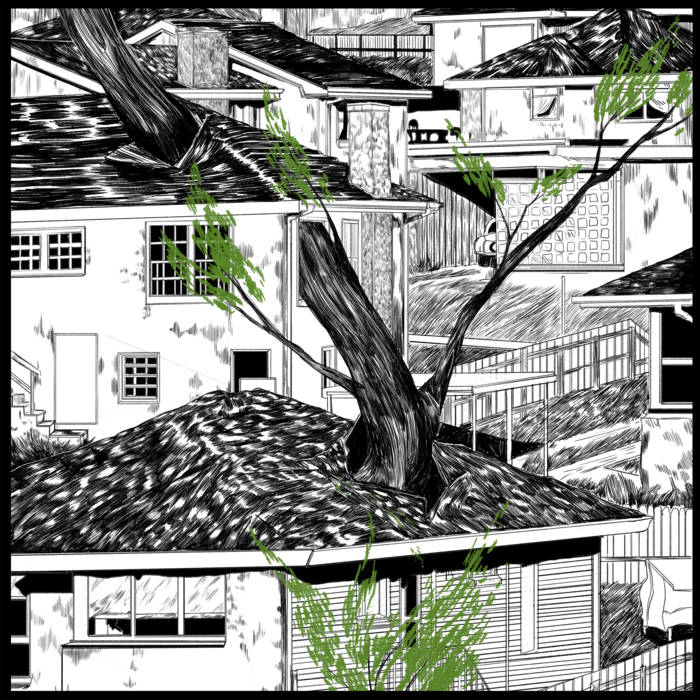 Pile - Odds and Ends LP