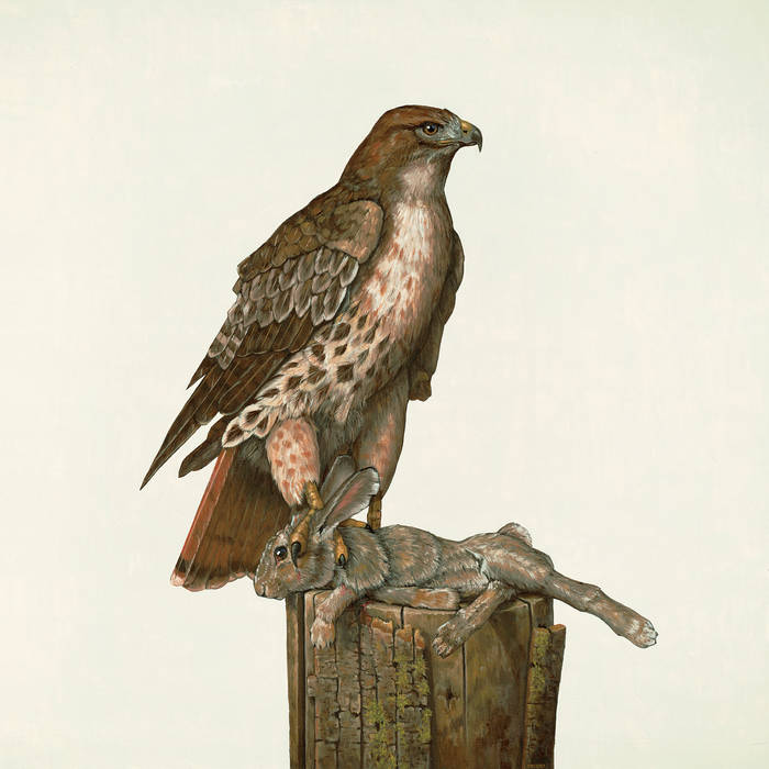 Federale - No Justice LP