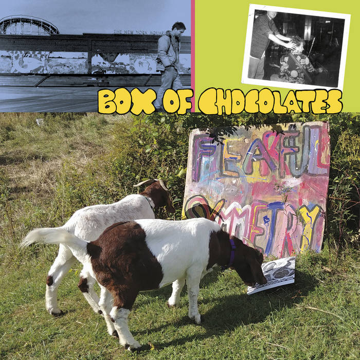 Box of Chocolates - Fearful Symmetry LP