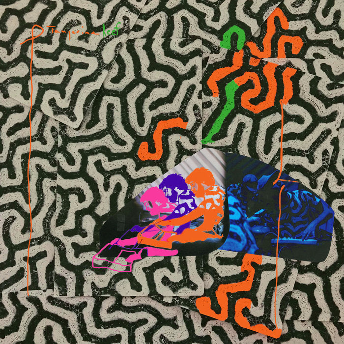 Animal Collective - Tangerine Reef 2LP