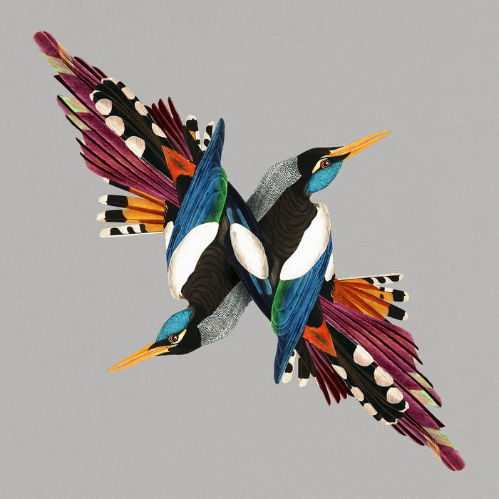 Shire T - Tomorrow's People LP