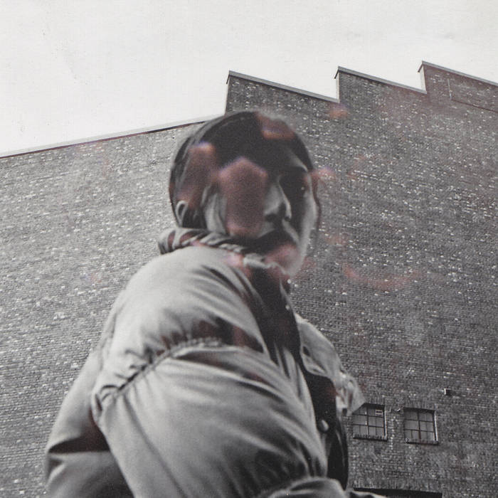 Aldous Harding - Warm Chris LP