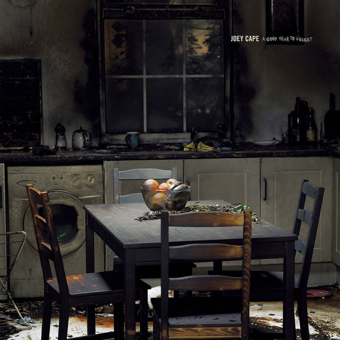 Joey Cape - A Good Year to Forget LP
