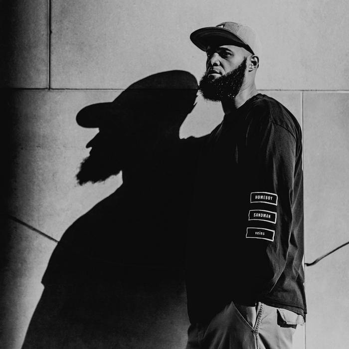 Homeboy Sandman - Veins LP