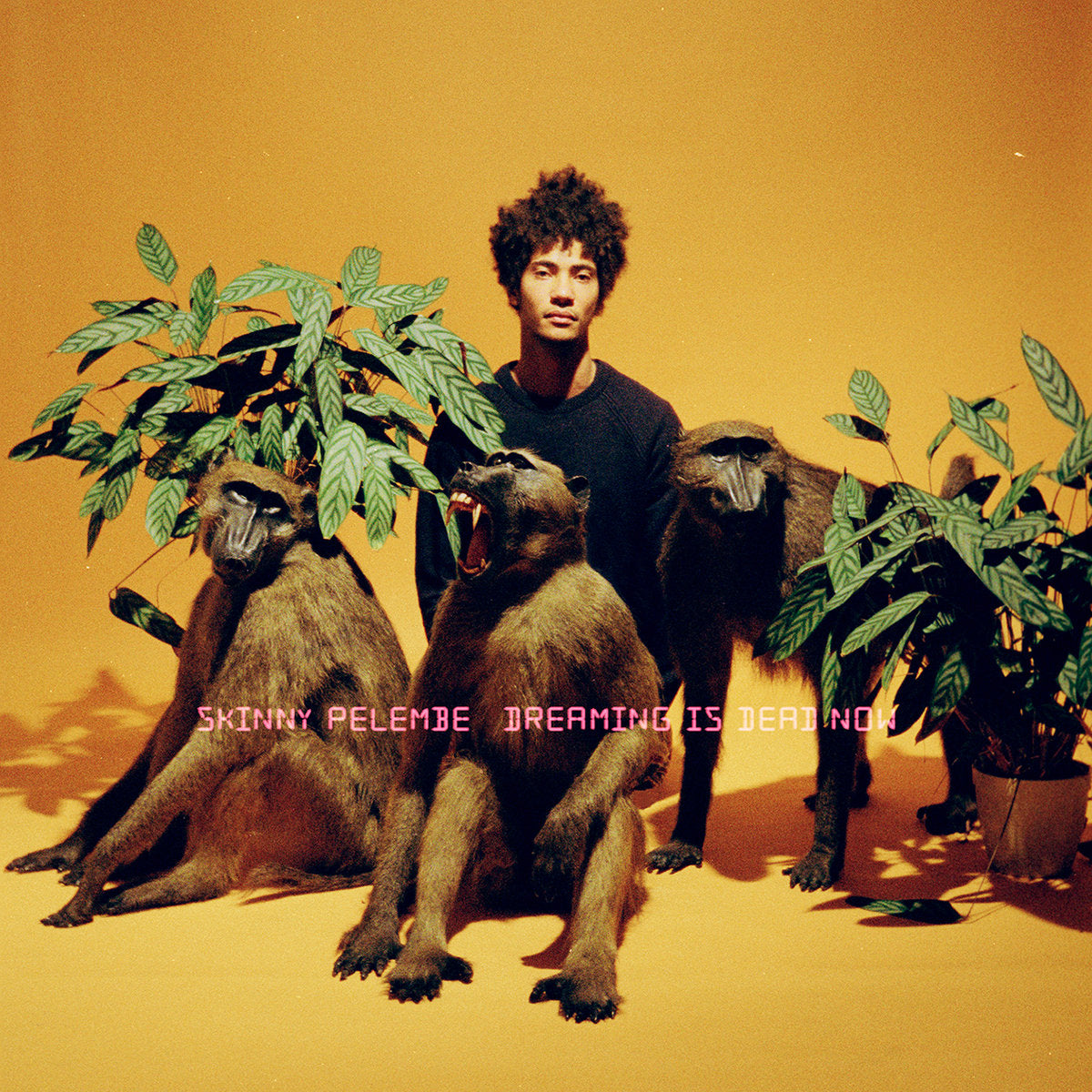 Skinny Pelembe - Dreaming Is Dead Now LP