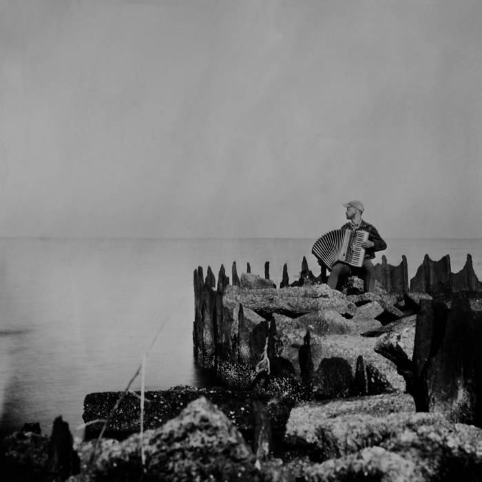 Walt McClements - A Hole in the Fence LP