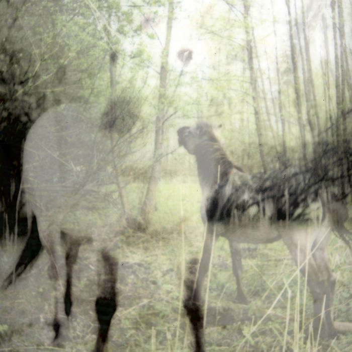 Bart De Paepe - Pagus Wasiae LP