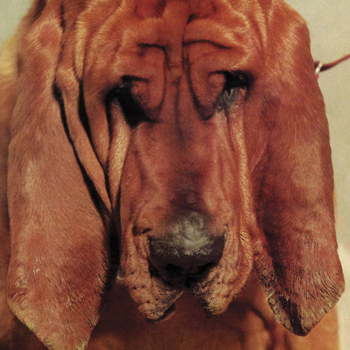 Ty Segall - Goodbye Bread LP