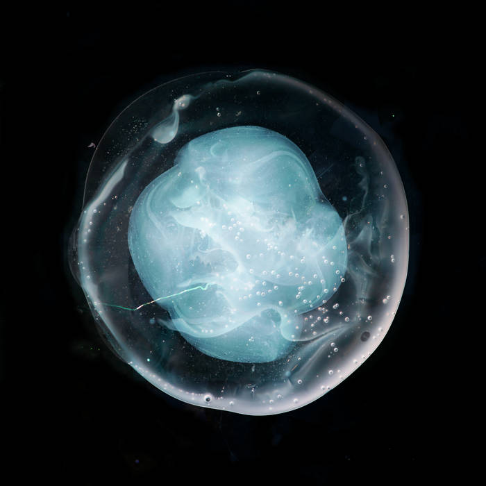 A Winged Victory for the Sullen - Undivided Five LP