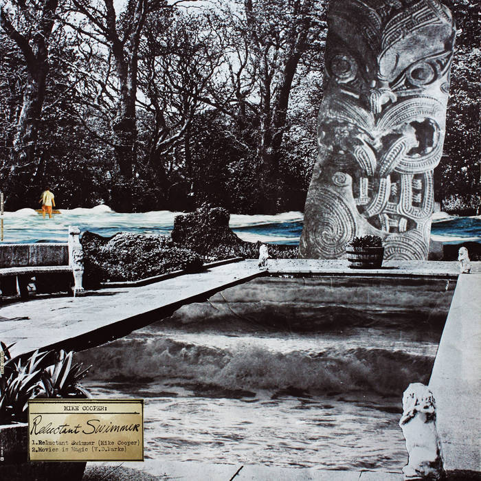 Mike Cooper - Reluctant Swimmer / Virtual Surfer LP