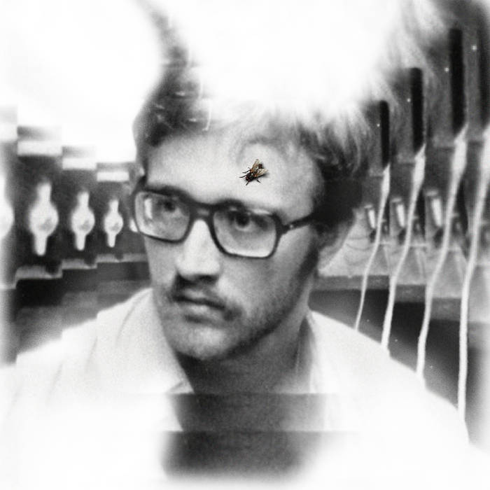 Damaged Bug - Bug on Yonkers LP