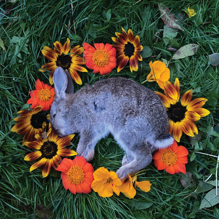 Monolord - Your Time to Shine LP