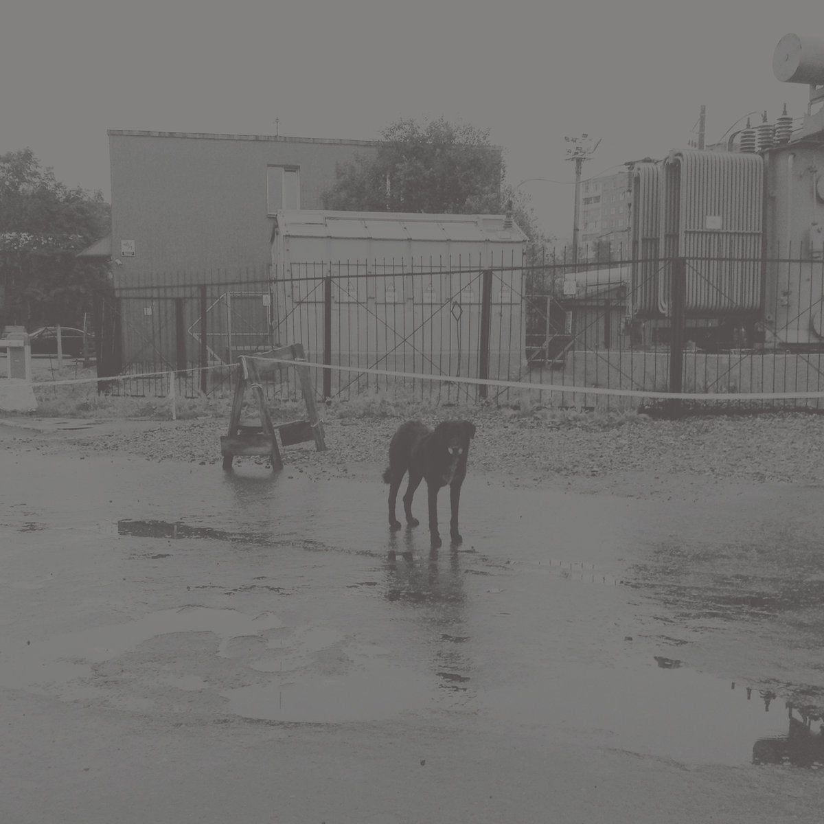 Nivhek - After its own death / Walking in a spiral towards the house 2LP